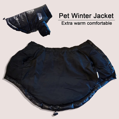 The Dog Face Jacket