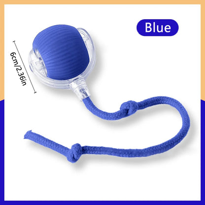 Smart Dog Toys Ball