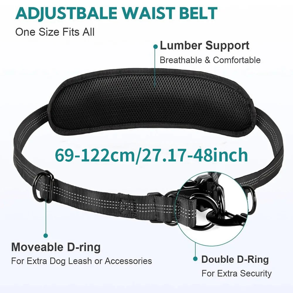 Hands Free Dual Dog Leash