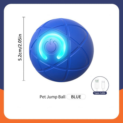 Smart Dog Toys Ball