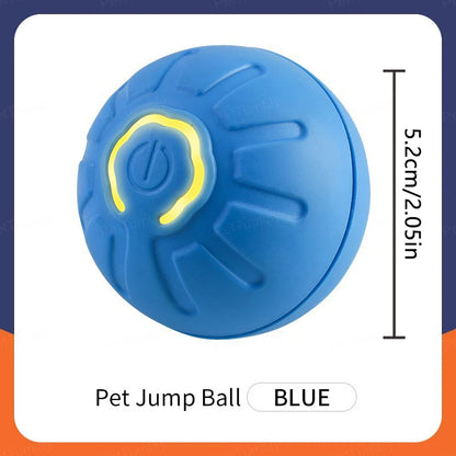 Smart Dog Toys Ball