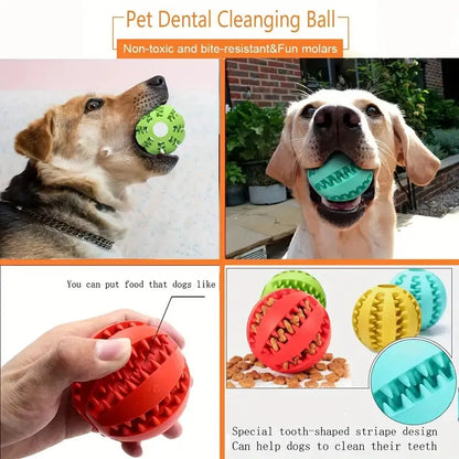 Interactive Chewing Ball