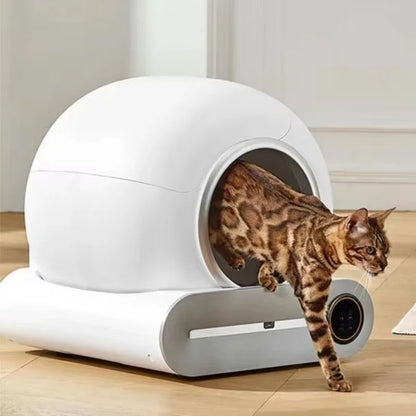 Caixa de Areia Inteligente para Gatos Totalmente Automática