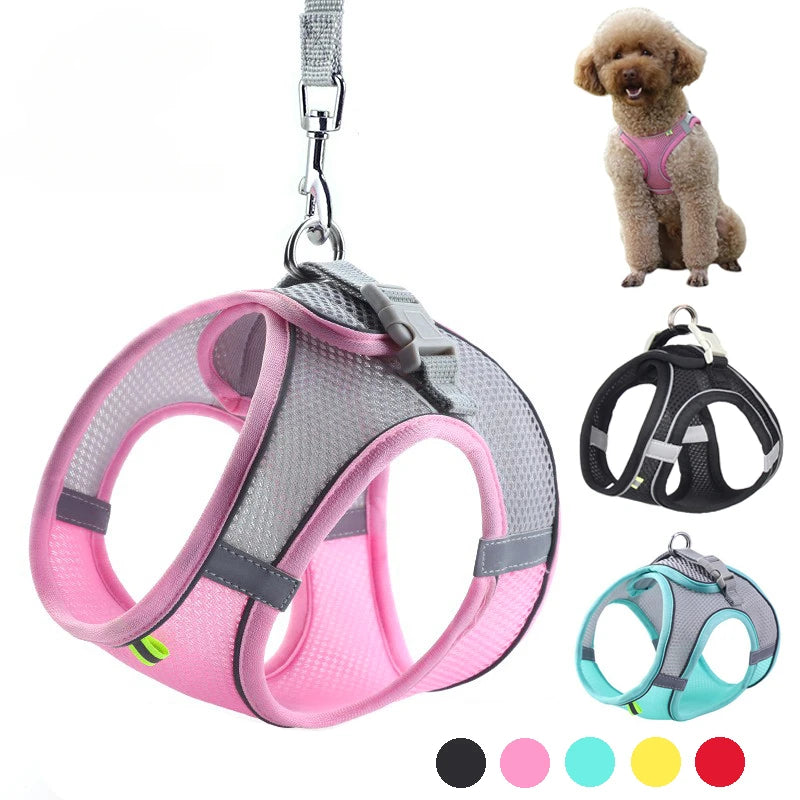 Puppy Harness