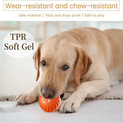 Smart Dog Toys Ball