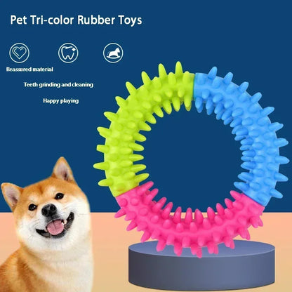 Pet Ring Toy