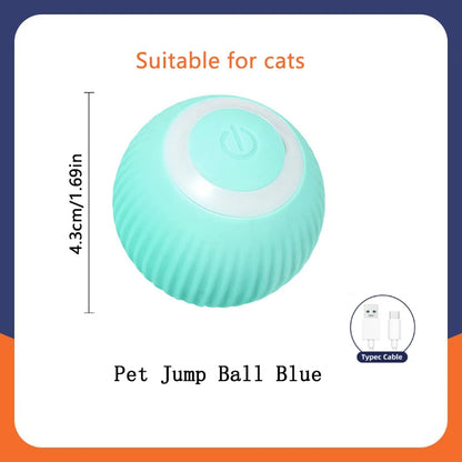 Smart Dog Toys Ball