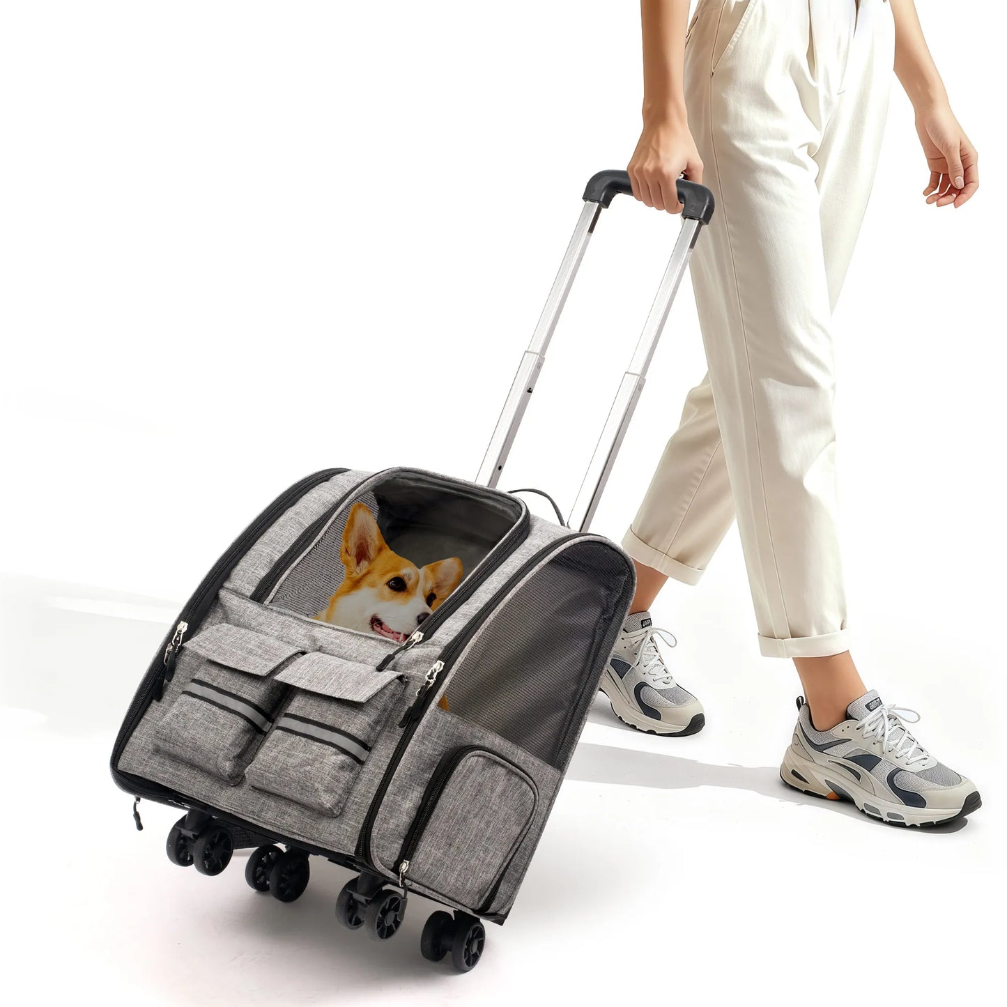 Pet Carrier Backpack