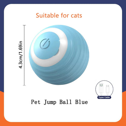 Smart Dog Toys Ball