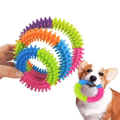 Pet Ring Toy