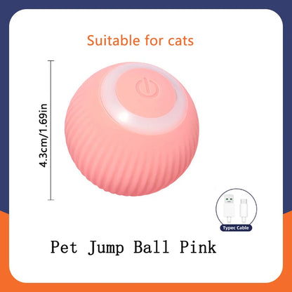 Smart Dog Toys Ball