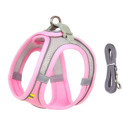 Puppy Harness