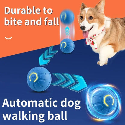 Smart Dog Toys Ball