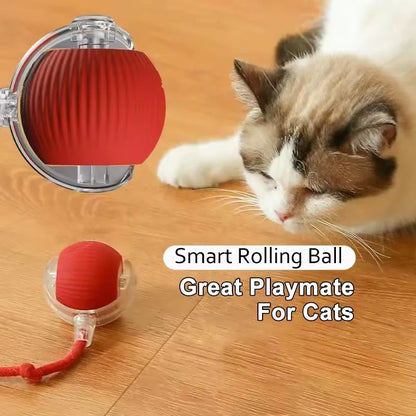 Electric Dog Ball