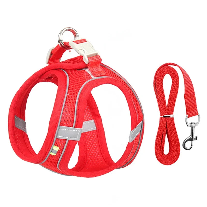 Puppy Harness