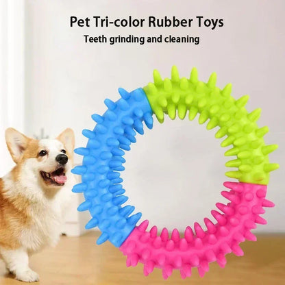 Pet Ring Toy