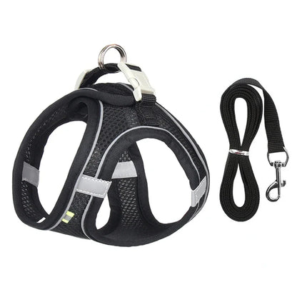 Puppy Harness
