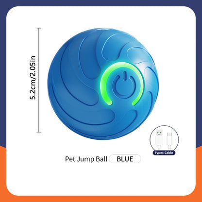 Smart Dog Toys Ball