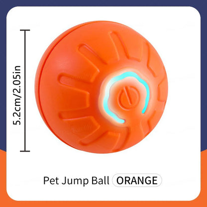 Smart Dog Toys Ball