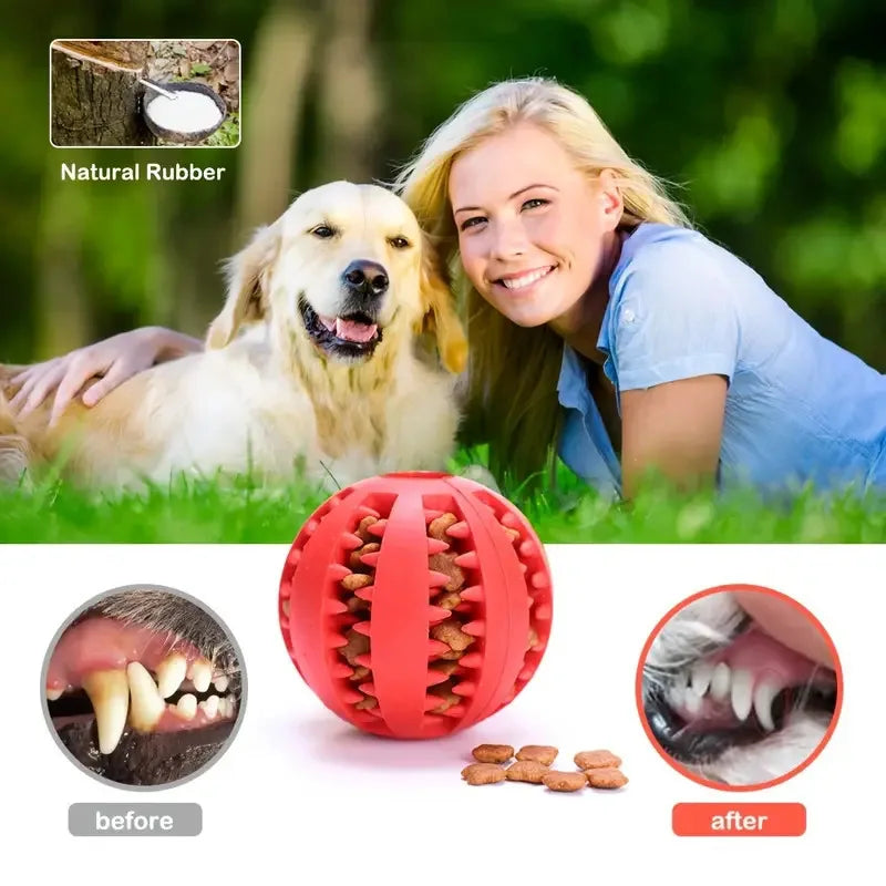 Interactive Chewing Ball