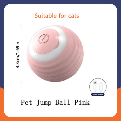 Smart Dog Toys Ball