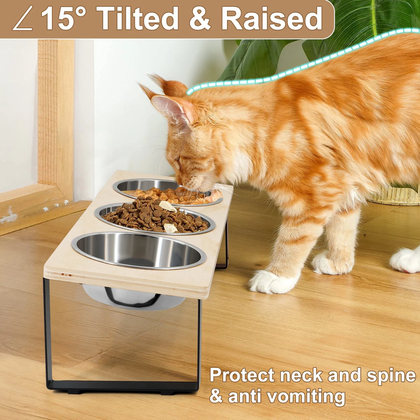 Elevated Cat Bowls Feeder