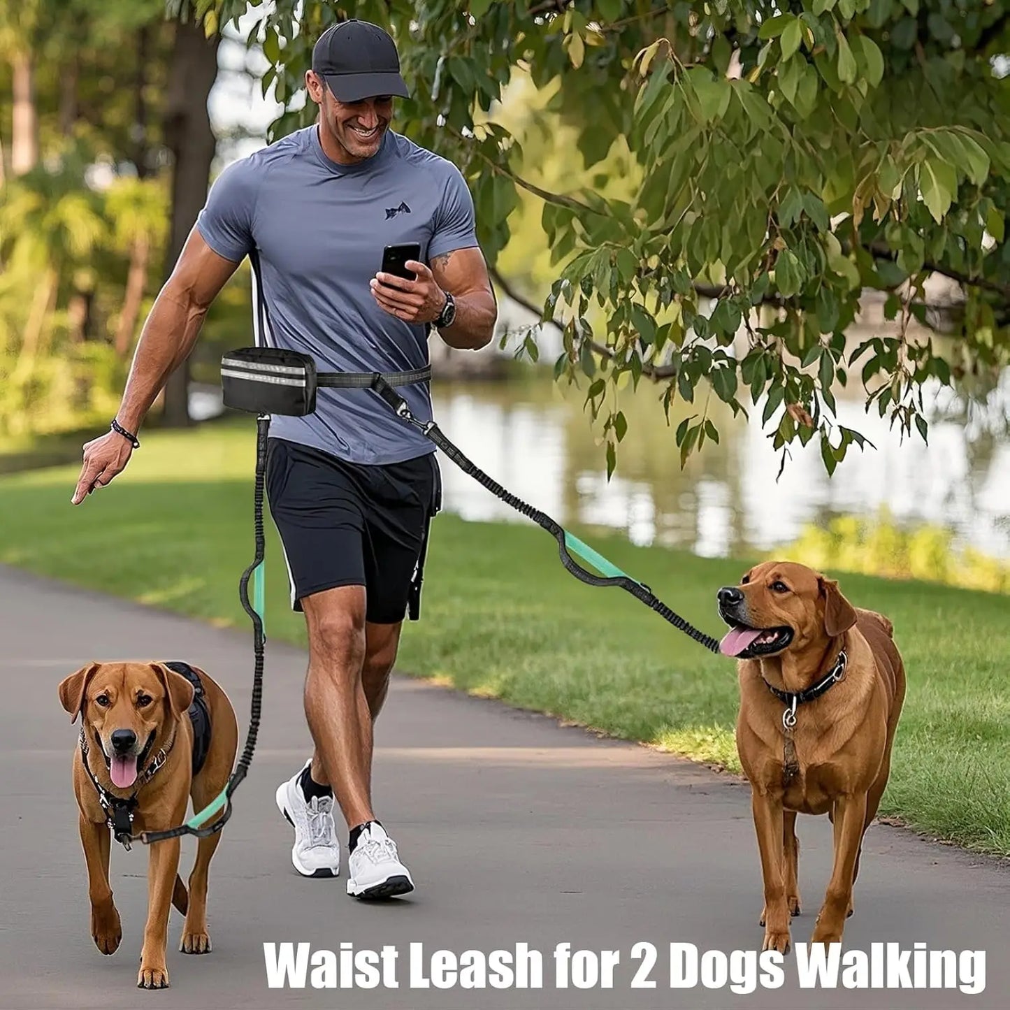 Hands Free Dual Dog Leash